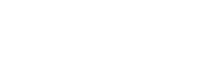 Portfolio Strategies INC NY logo