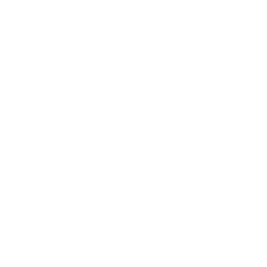 Calamos Wealth Management LLC logo