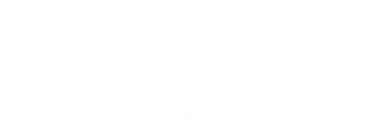 Brewer Financial Strategies logo