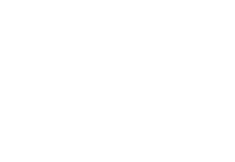 Silver OAK Leaf Financial Services L.l.c. logo