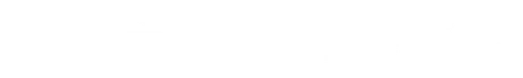 Mgfs Private Wealth, LLC logo