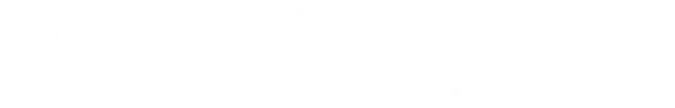 Reichard Capital, LLC logo