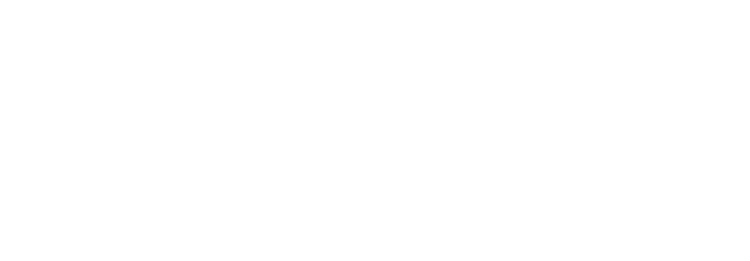 Dupree Financial Group, LLC logo
