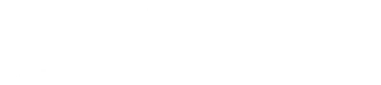 Fortiter Wealth Management, LLC logo