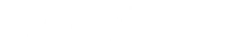 Storyone Family Office logo