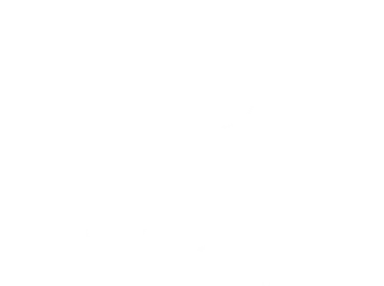 Boden Wealth logo