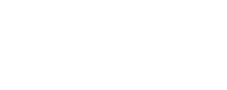 Sentinel Wealth INC logo