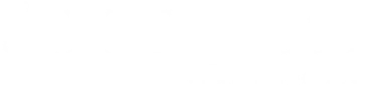 Statetrust Capital, Llc. logo