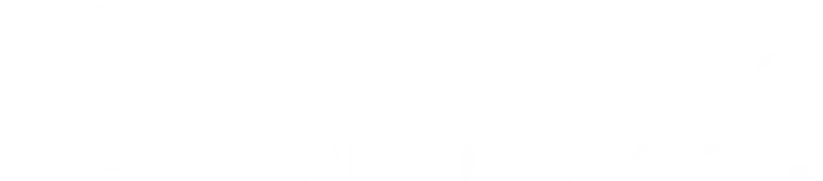 Chaney Capital Management Inc. logo
