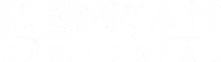 Keenan Financial logo