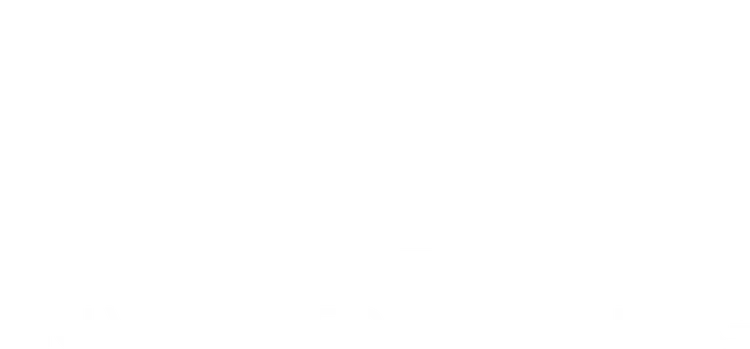 Privileged Planning Inc. logo