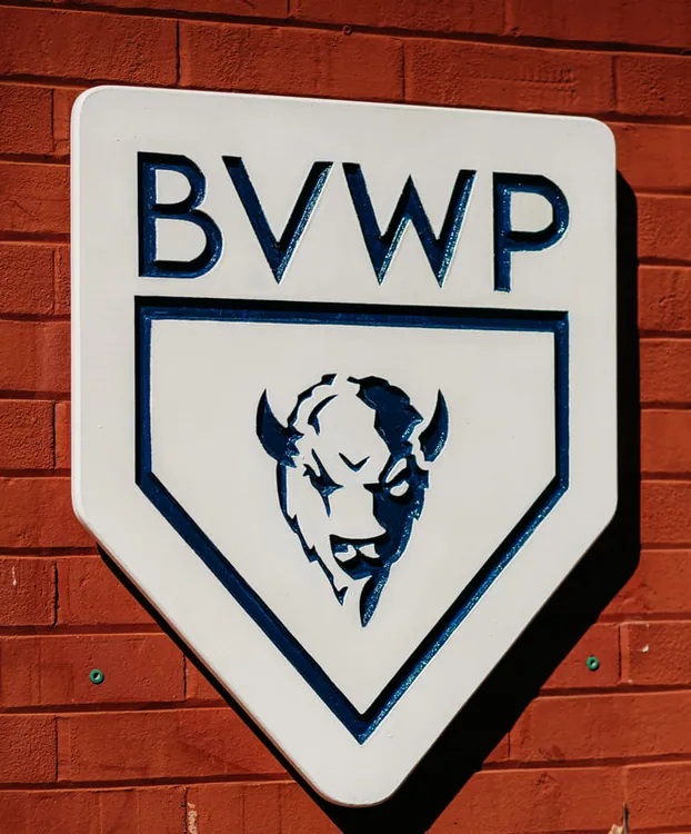 Buffalo Valley Wealth Plus logo