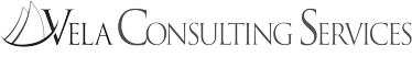 Vela Consulting, LLC logo