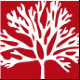 Reef Advisors LLC logo
