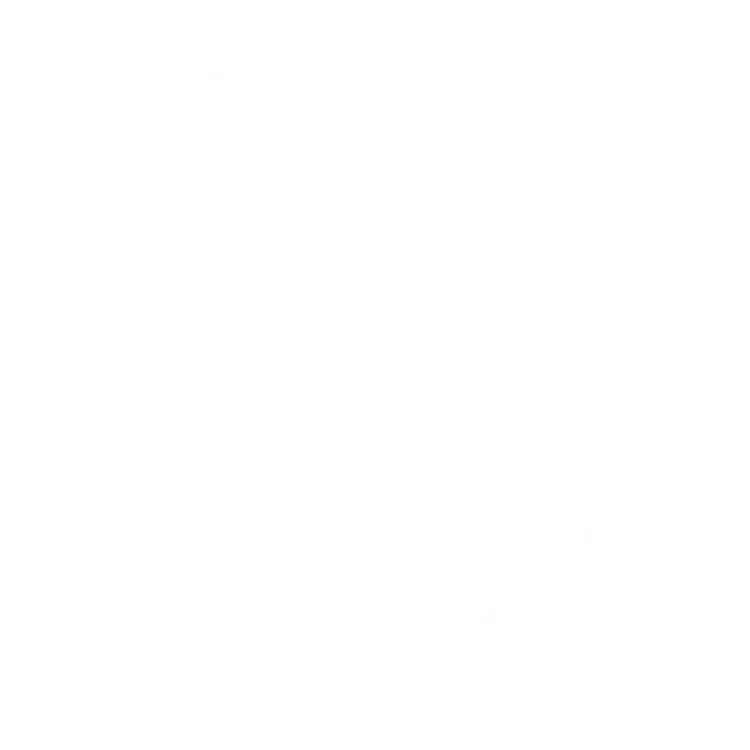 Kidd Vision Capital LLC logo