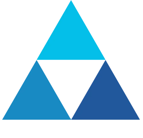 Dhody Investment Group logo