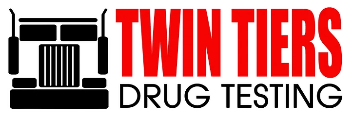 Twin Tiers Consulting, LLC logo