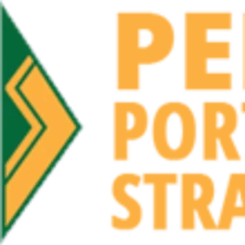 Pento Portfolio Strategies, LLC logo