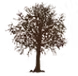 Jordan Financial LLC logo
