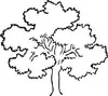 Oaktree Financial Planning, LLC logo
