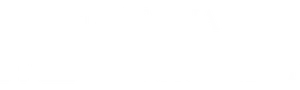 Messina Wealth Management, LLC logo