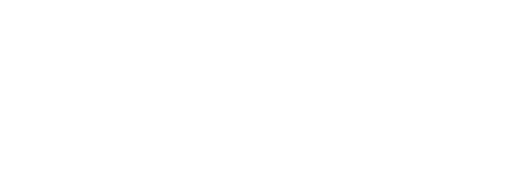 Wills Financial Group, LLC logo