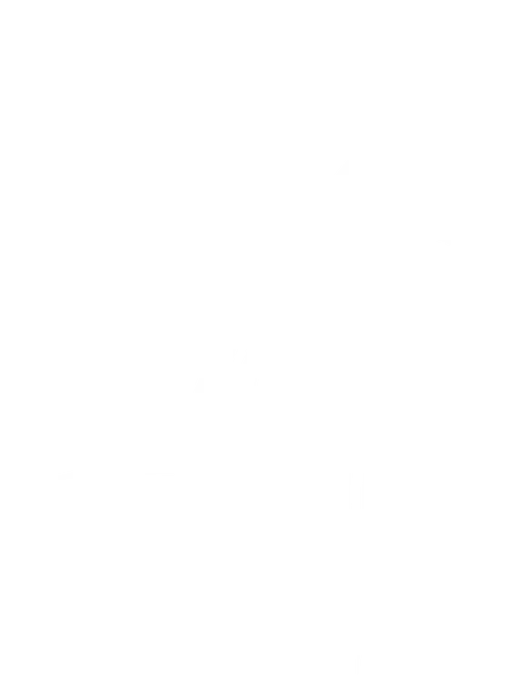Stag Rock LLC logo