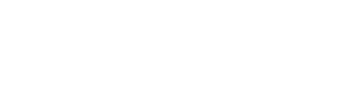 Echelons Capital, LLC logo
