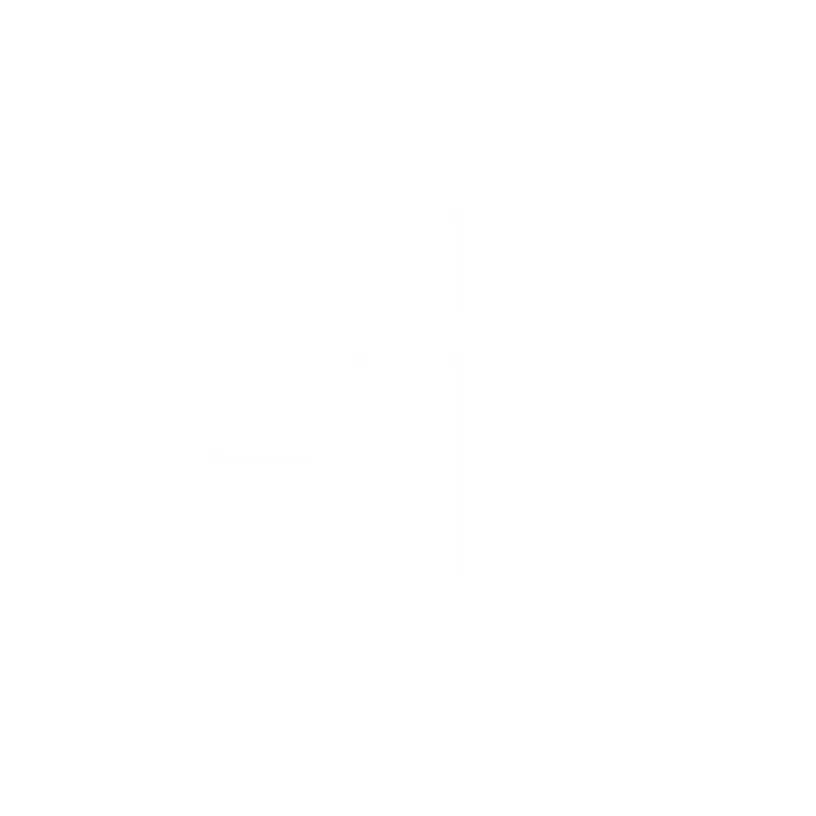 Macfarlane Investors logo