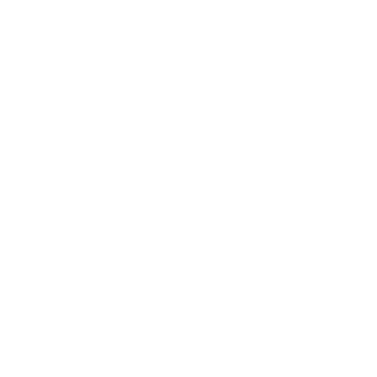 Sylo Planning logo