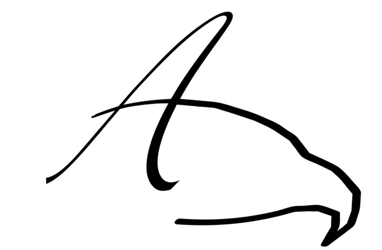 Adler Financial logo