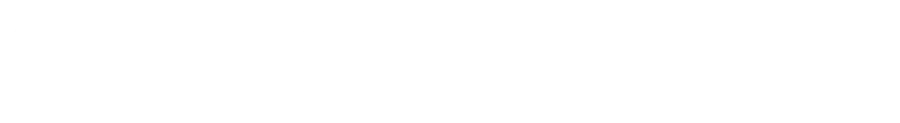 Bridgeport Asset Management, Llc. logo