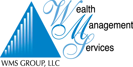 WMS Group LLC logo