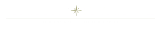 Strategic Navigators Private Wealth logo