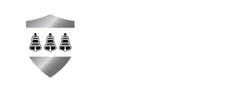 Three Bell Capital LLC logo