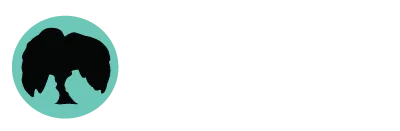 Chamberlain Financial Advisors, Inc. logo