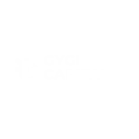 Gygi Capital Management logo