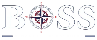 Boss Financial Strategies, LLC logo