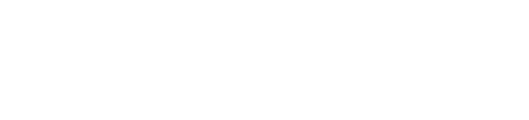 THE Fauser Group, LLC logo