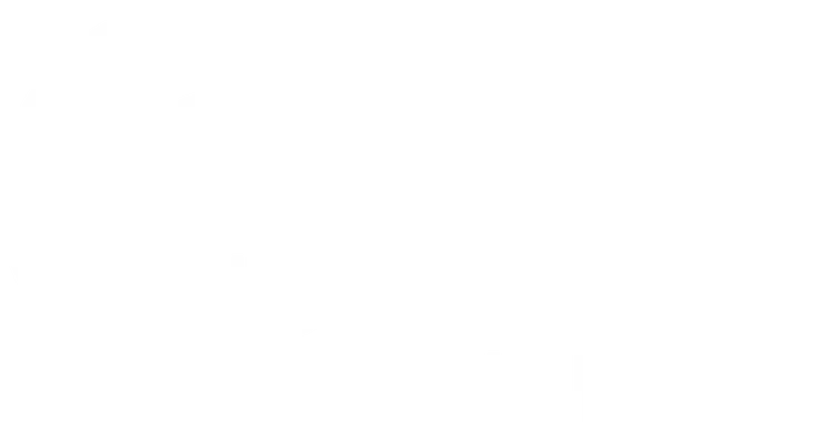 Rebel Financial, LLC logo