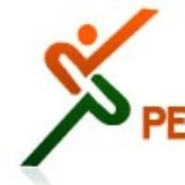 Pension Parameters Financial Services, Inc. logo