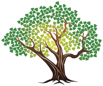 Cottonwood Capital Advisors logo