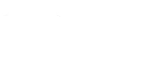 Peerless Wealth logo