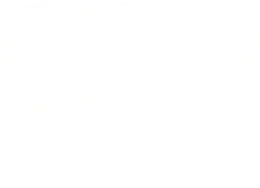 CIO Capital Group LLC logo