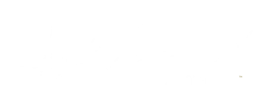 Verisail Partners, LLC logo