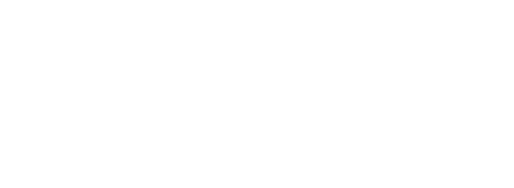 Middle Street Capital, LLC logo