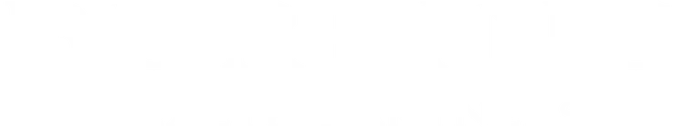 Burling Wealth Partners logo
