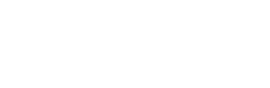 Stonewall Equities, Ltd. logo