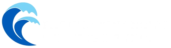 Pacific Financial Strategies, INC logo