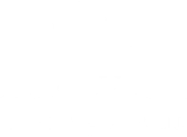 DMC Wealth Management, LLC logo